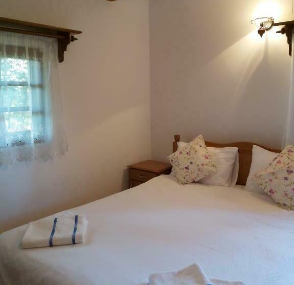 חדר סטנדרט נוף לגינה, Casa De Vacanta Padis