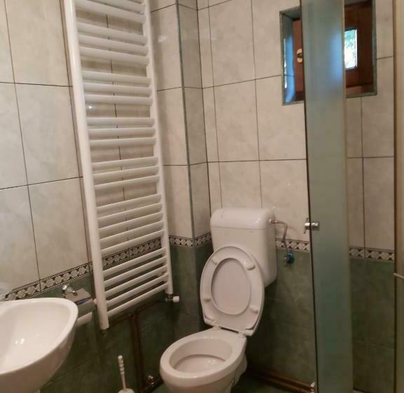 חדר סטנדרט נוף לגינה, Casa De Vacanta Padis