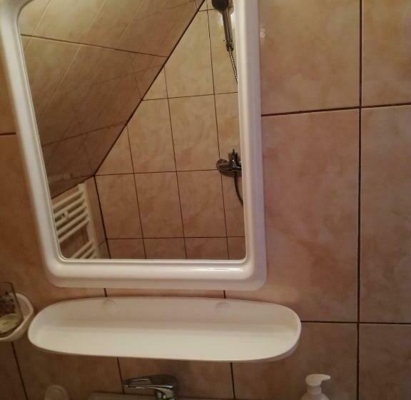 חדר אקונומי, Casa De Vacanta Padis