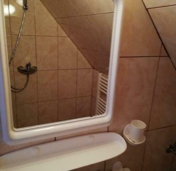 חדר אקונומי, Casa De Vacanta Padis