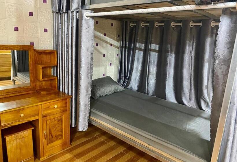 تختخواب در اتاق مشترک, Bamboo Hostel