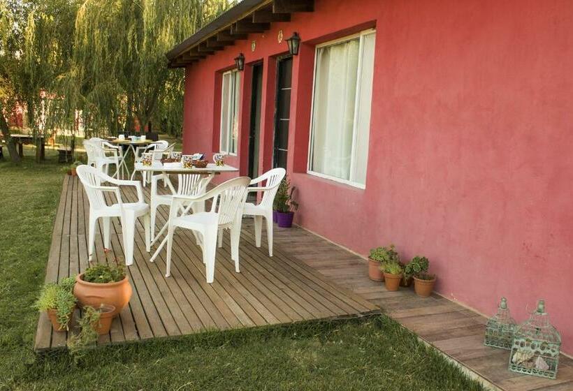 四人标准间, Las Lechuzas