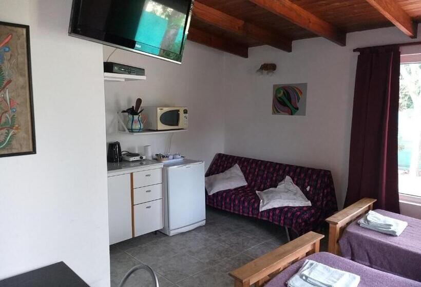 스탠다드 룸, Las Lechuzas