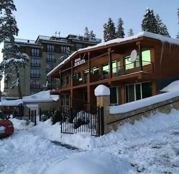 آپارتمان 2 خوابه, Chalet Kokhta