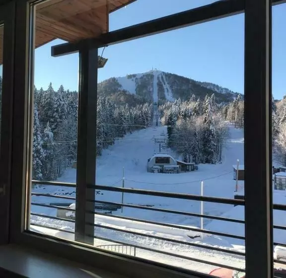 آپارتمان 2 خوابه, Chalet Kokhta