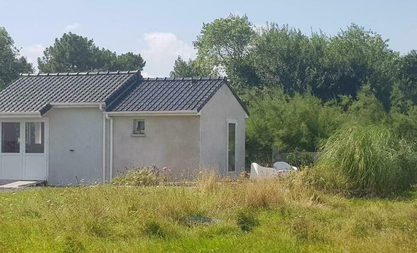 高级大房间, L Hyppo Camp