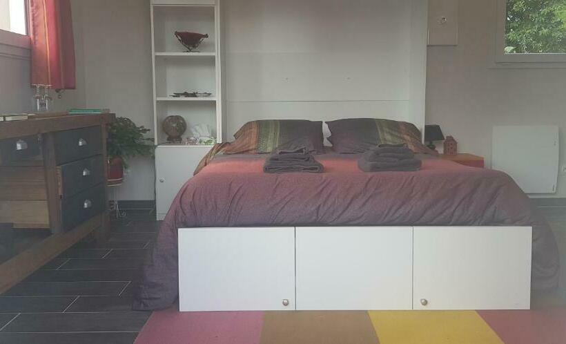 高级大房间, L Hyppo Camp