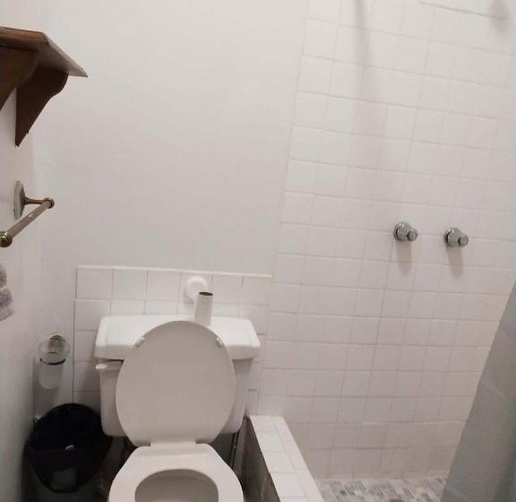 豪华房间, Macaw Guest House