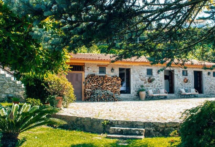 חדר סטנדרט עם מיטת קינג, The Quixote House