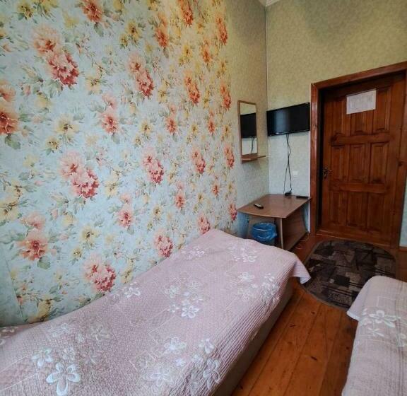 غرفة إقتصادية, Zatyshok