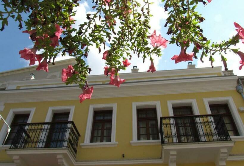 디럭스 스위트, Argjiro