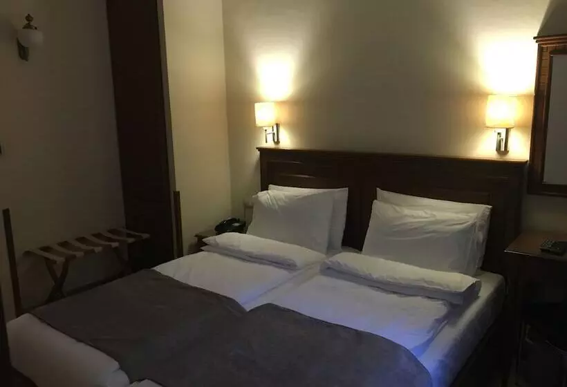 اتاق اکونومی, Argjiro