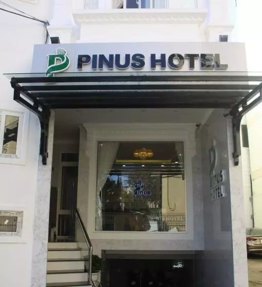 اتاق سوپریور, Pinus