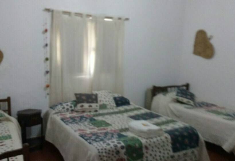 スタンダード４人部屋, San Carlos