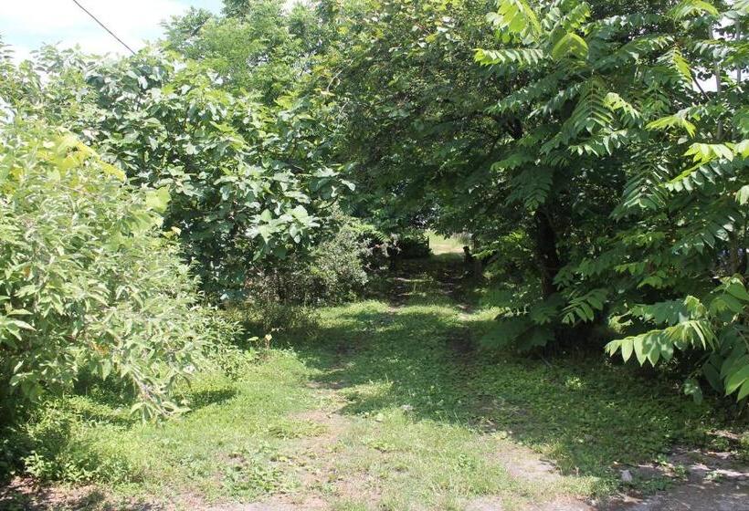 اتاق خانوادگی, Smak