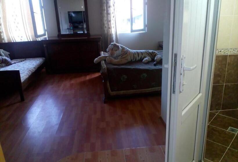 اتاق خانوادگی, Mini Hotel On Guramishvili 22