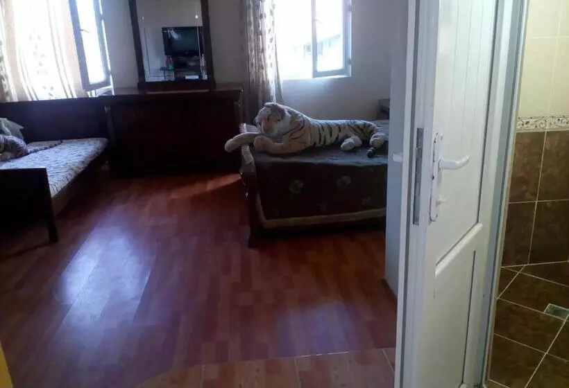 اتاق خانوادگی, Mini Hotel On Guramishvili 22