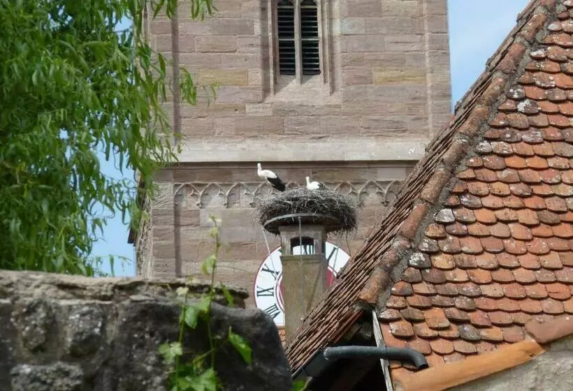 سوییت, Alte Vogtei