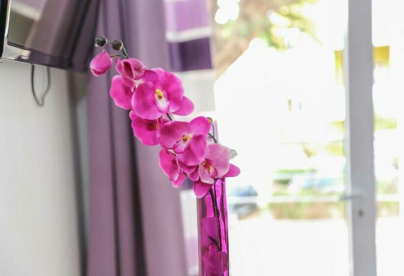 اتاق استاندارد, Cesaria