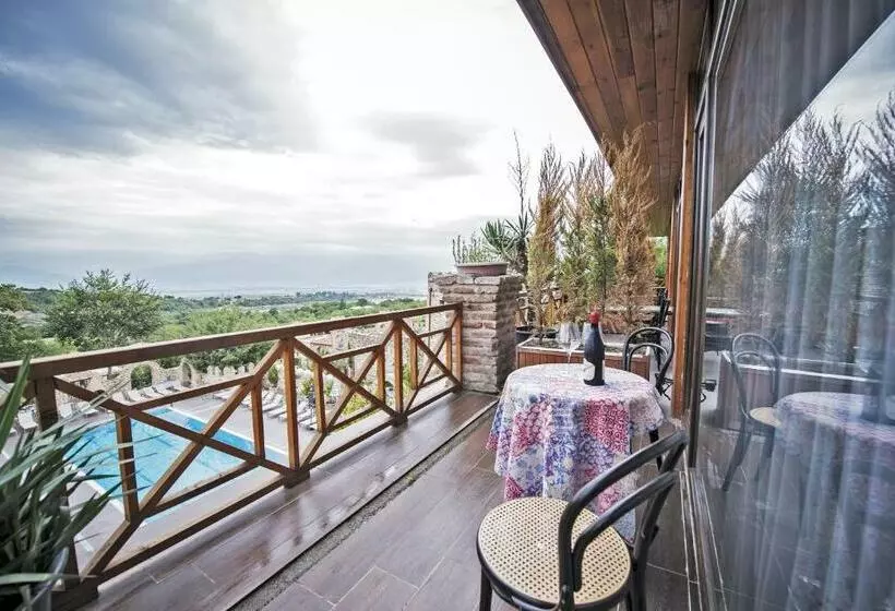 اتاق استاندارد, Chateau Mere