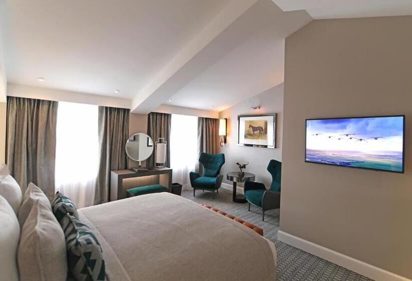 デラックスルーム, Alchimy