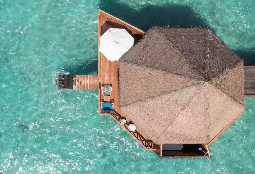ویلای 1 خوابه, Mercure Maldives Kooddoo Adults Only Escape 50 Percent Off Domestic Transfers