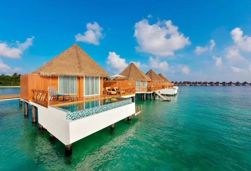 ویلای یک اتاق خوابه با استخر شنا, Mercure Maldives Kooddoo Adults Only Escape 50 Percent Off Domestic Transfers