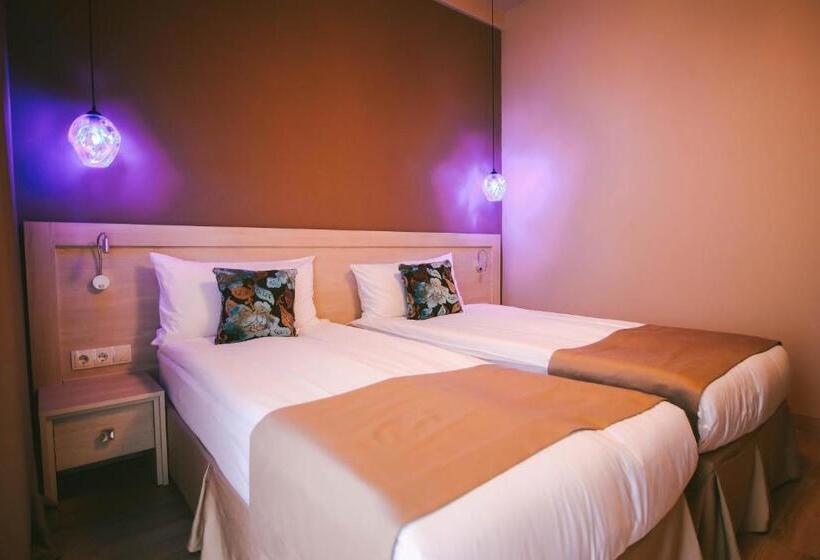 اتاق استاندارد, Savaneti Eco