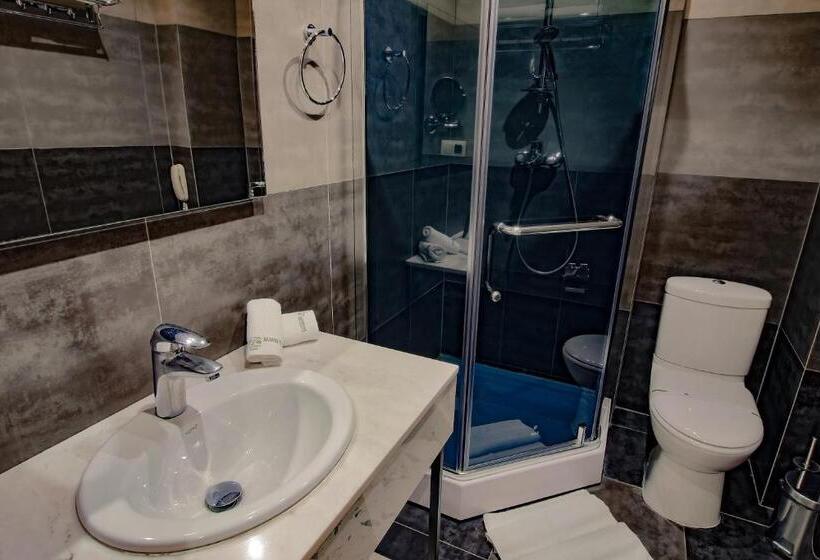 اتاق استاندارد, Savaneti Eco