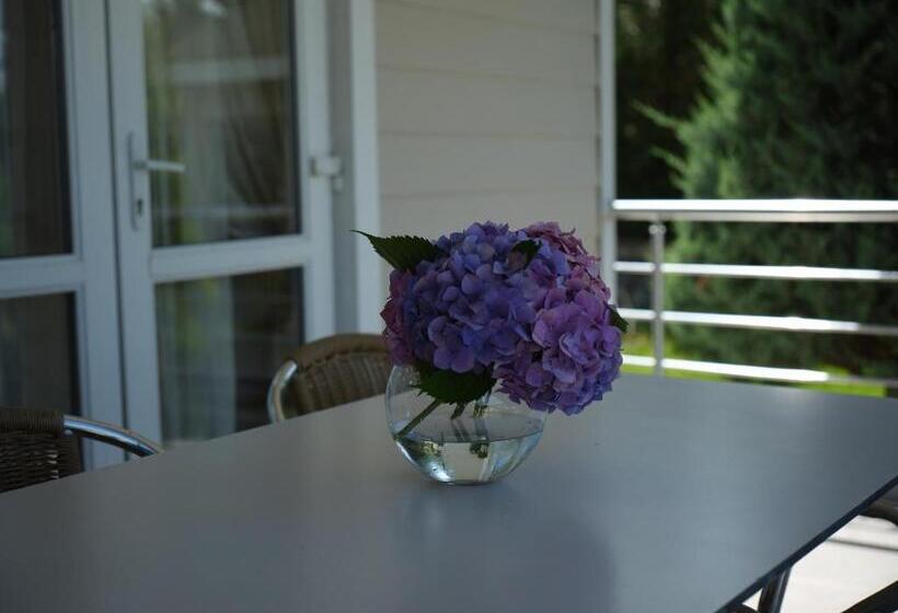 ویلای 1 خوابه, Qafqaz Riverside