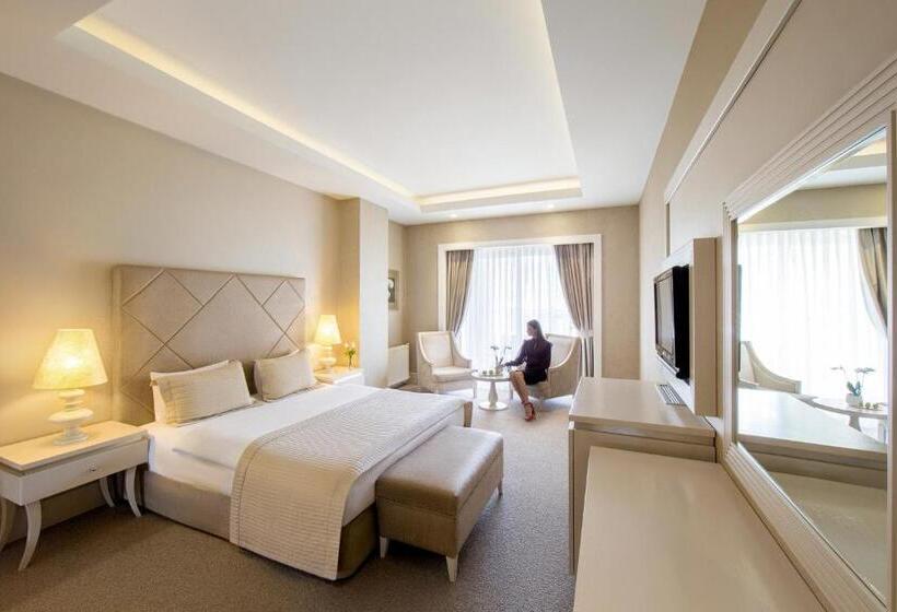 اتاق استاندارد, Qafqaz Riverside