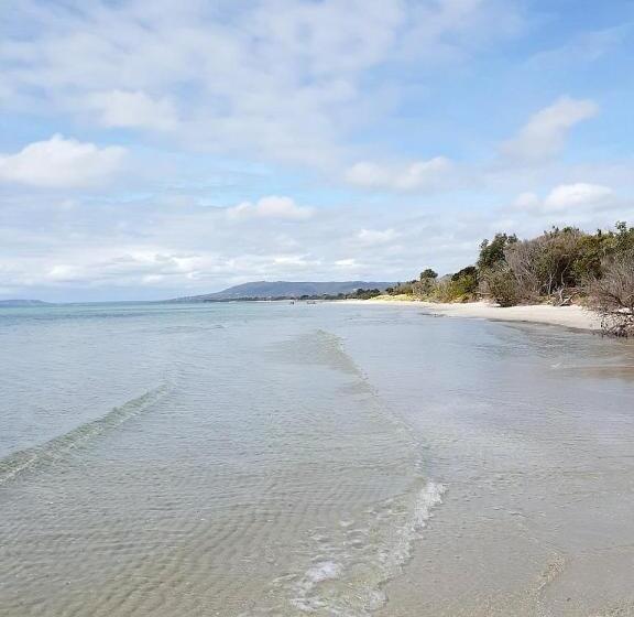 חדר משפחתי, Rosebud Motel