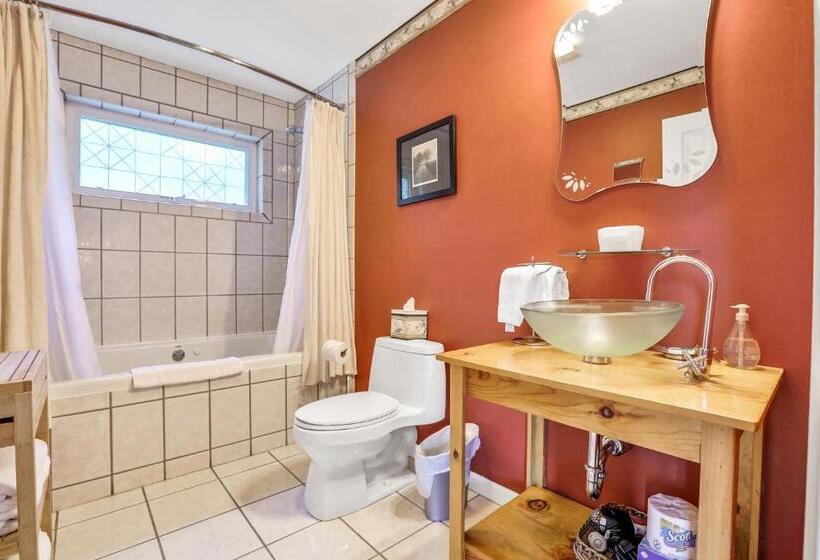 标准间带漩涡浴缸, Moondance Ridge Suites