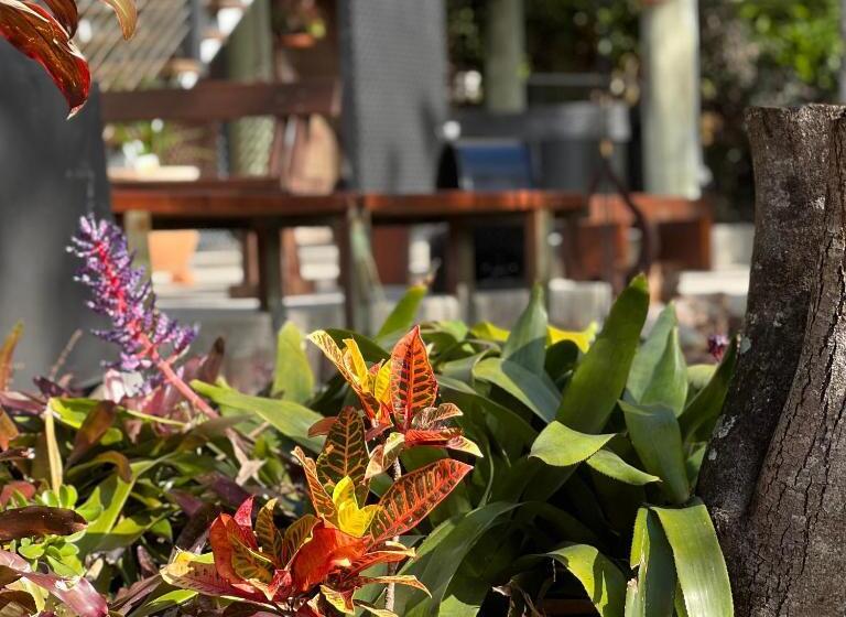 منزل غرفة نوم واحدة, Hillside Retreat Guest House