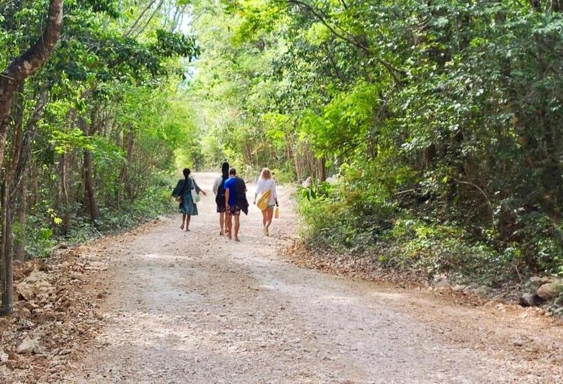 חדר סטנדרט, Room In Lodge Eco Luxe Mayan Dome Cenote