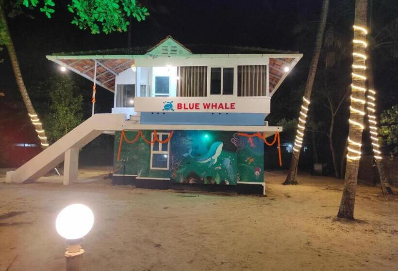 豪华海景房, Marari Blue Whale Beach House