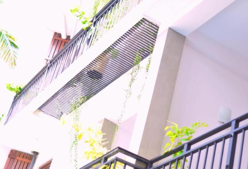 スタンダードシングルルーム, Sky House Ahangama