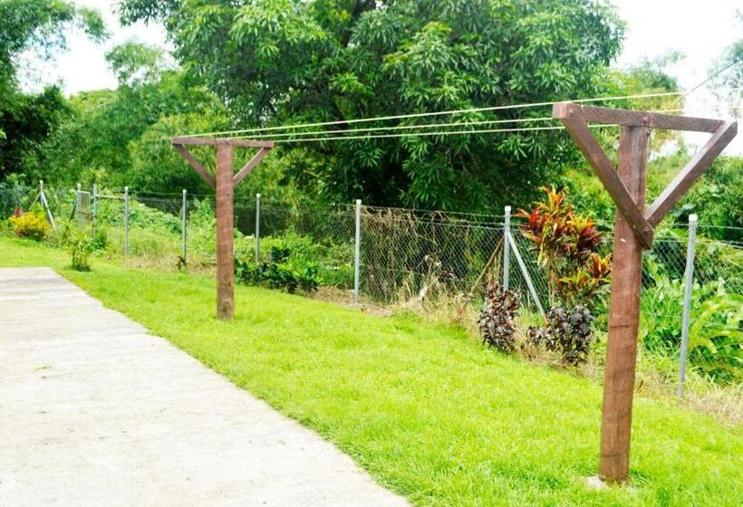 バルコニー付きスタンダードルーム, Tailevu