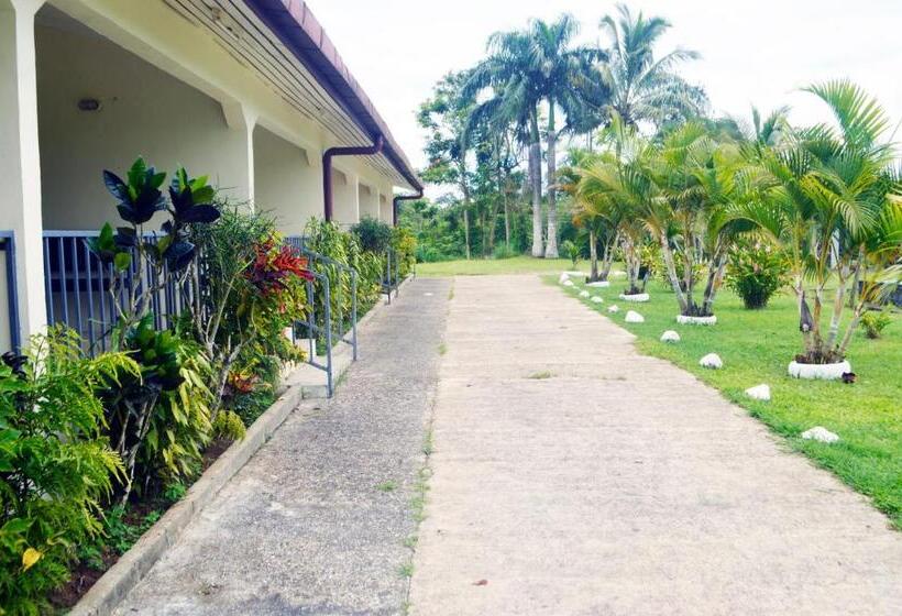 バルコニー付きスタンダードルーム, Tailevu