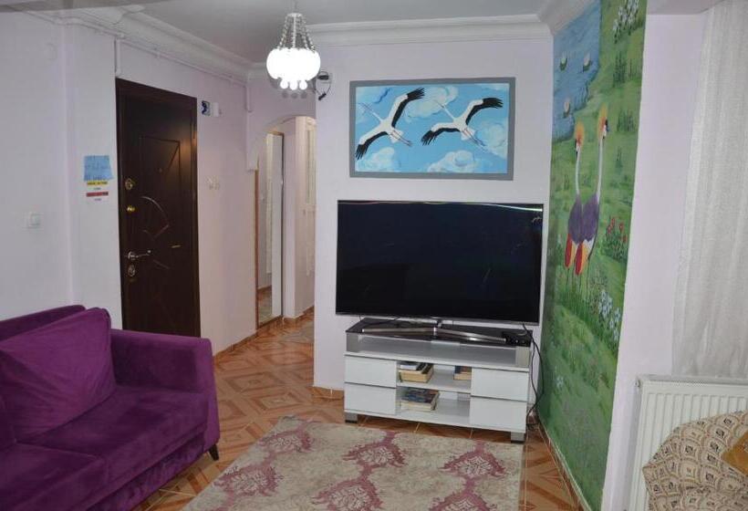 Apartamento 1 Dormitório Vista Jardim, Işıl