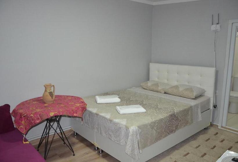 Apartamento 1 Dormitório Vista Jardim, Işıl