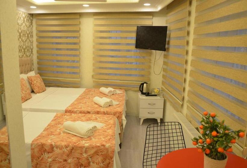 Quarto Triplo Estandar, Işıl