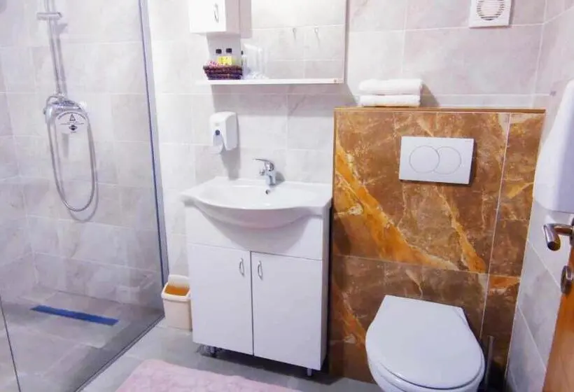 اتاق استاندارد یک نفره, Vila Dvor Subotica
