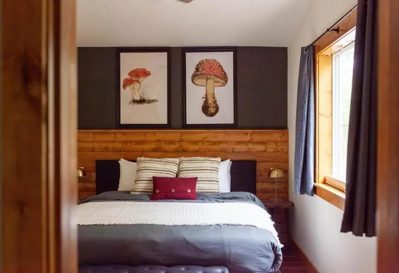 Sviitti, Backwoods Cabins