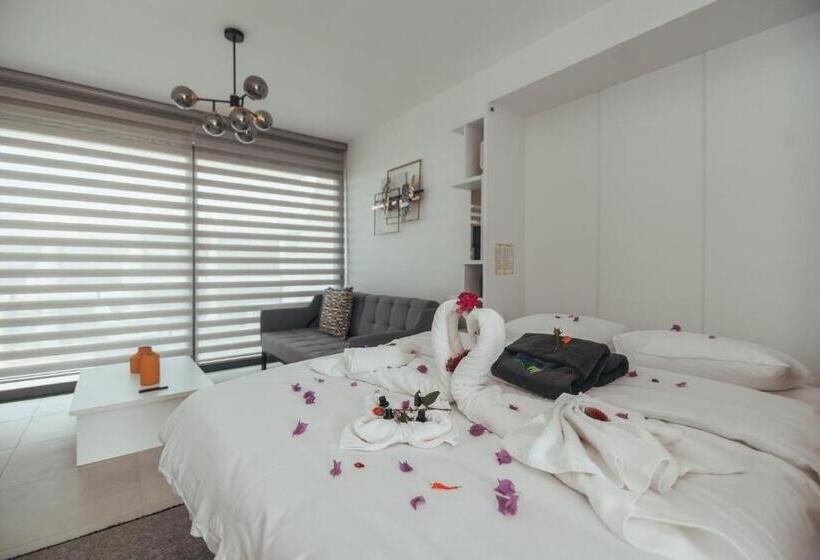 스탠다드 스튜디오 바다 전망, Pearl Island Homes