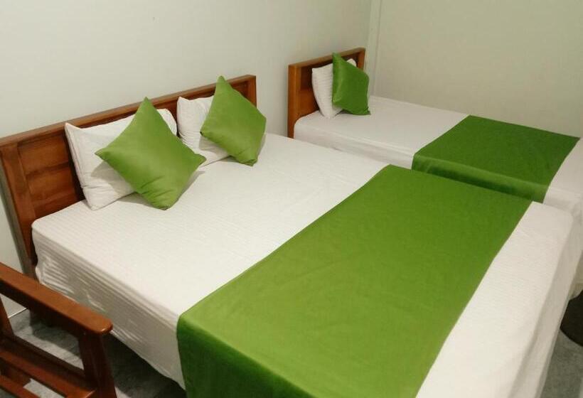 豪华三人间, Samara Guest Inn