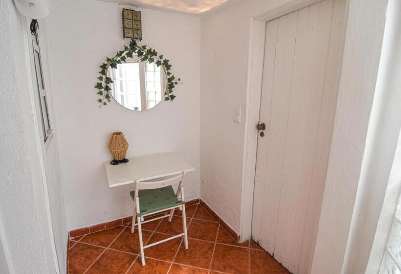 标准单人间, Shared Apartment With Bright Private Patio In Lisboa