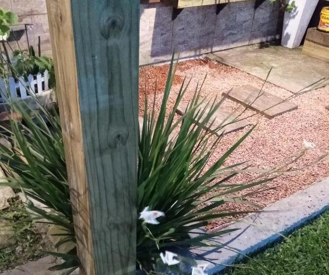 חדר דלוקס, Kitnet Da Elô