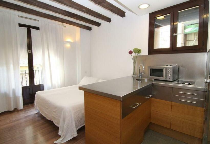 استودیو استاندارد با بالکن, Bcn2stay Apartments