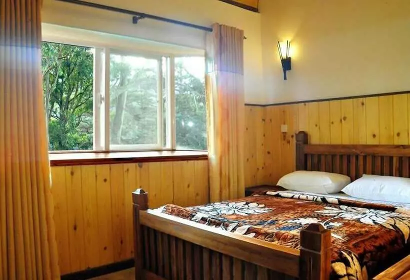 デラックスルーム, New Tour Inn